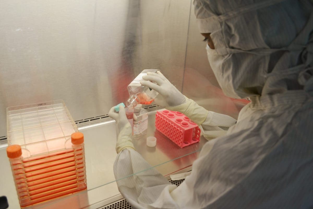 Researcher handling samples in a laboratory